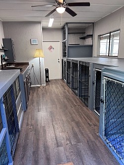 Daycare for dogs, boarding for dogs, dog hotel