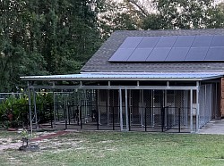 The Boarding Kennels