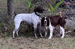 Waylon & Ellie