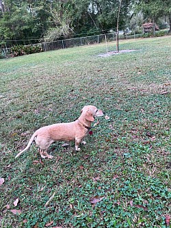 Waylon & Ellie